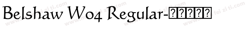Belshaw W04 Regular字体转换